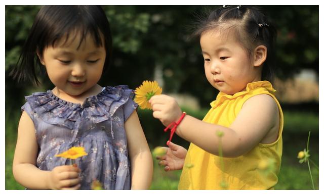 香港旅发局：7月访港旅客人数达到439万 同比增长12%