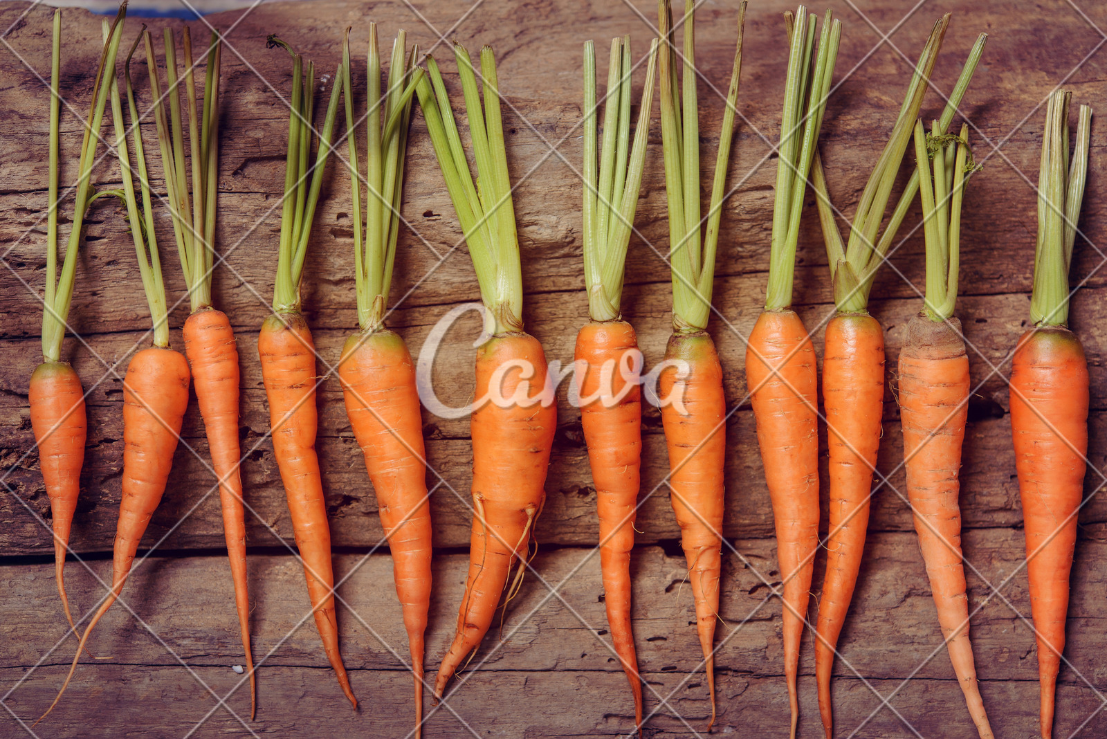 A股收评 | 指数集体反弹！军工板块热度持续