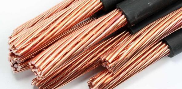 “首次”“首创”不断，我国科学探索领域捷报频传