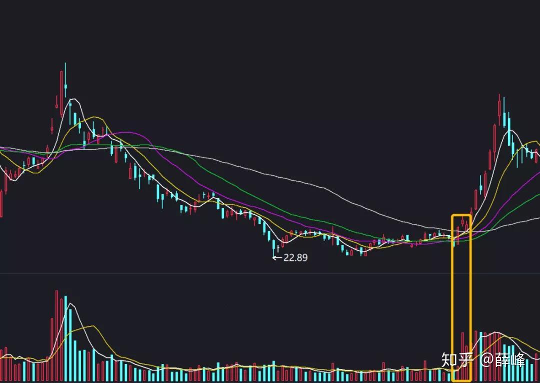 美日贸易协议开辟新前景，日本央行加息概率显著上升