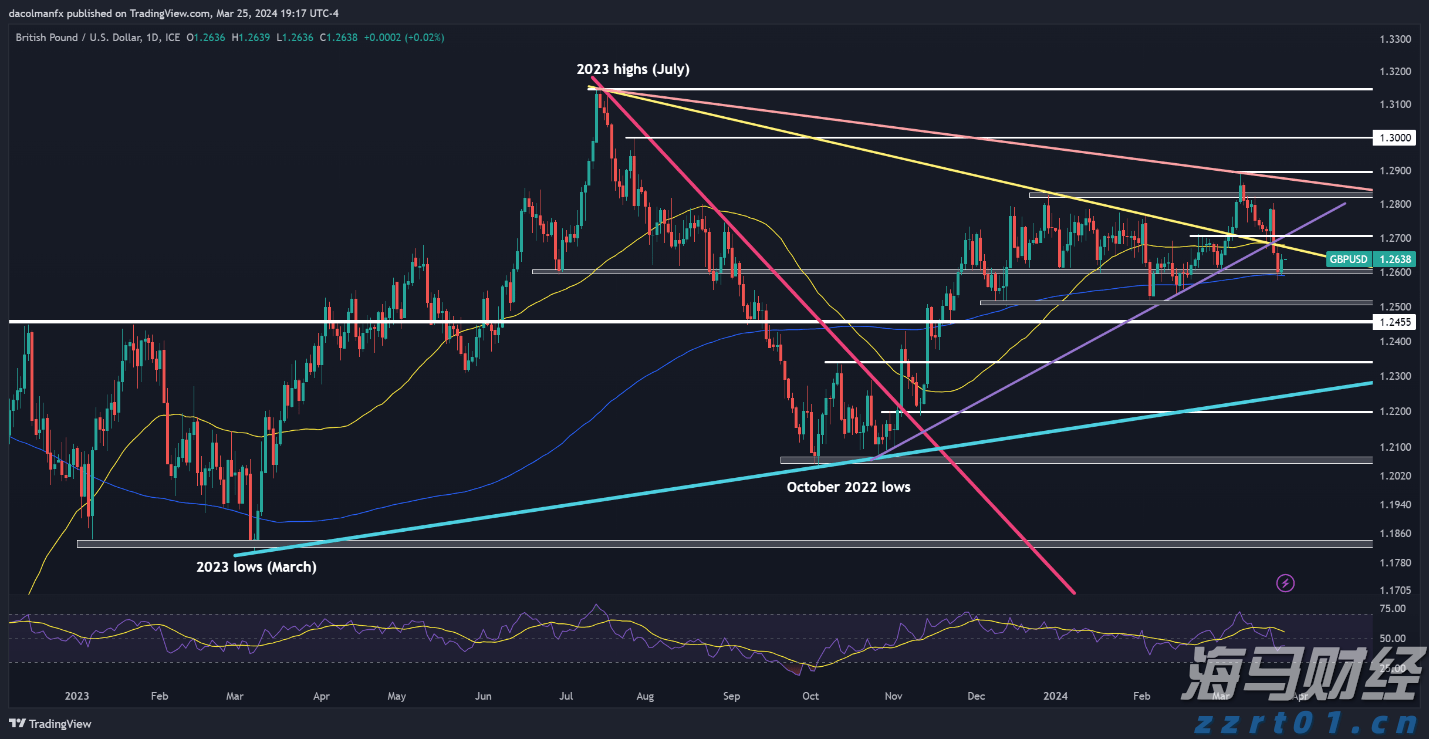 南非经济学家：应对美国贸易武器化 南非应深化全球合作