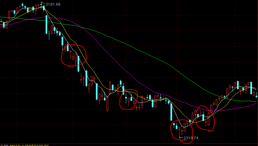 广东推动制止餐饮浪费专项行动落实落地见成效