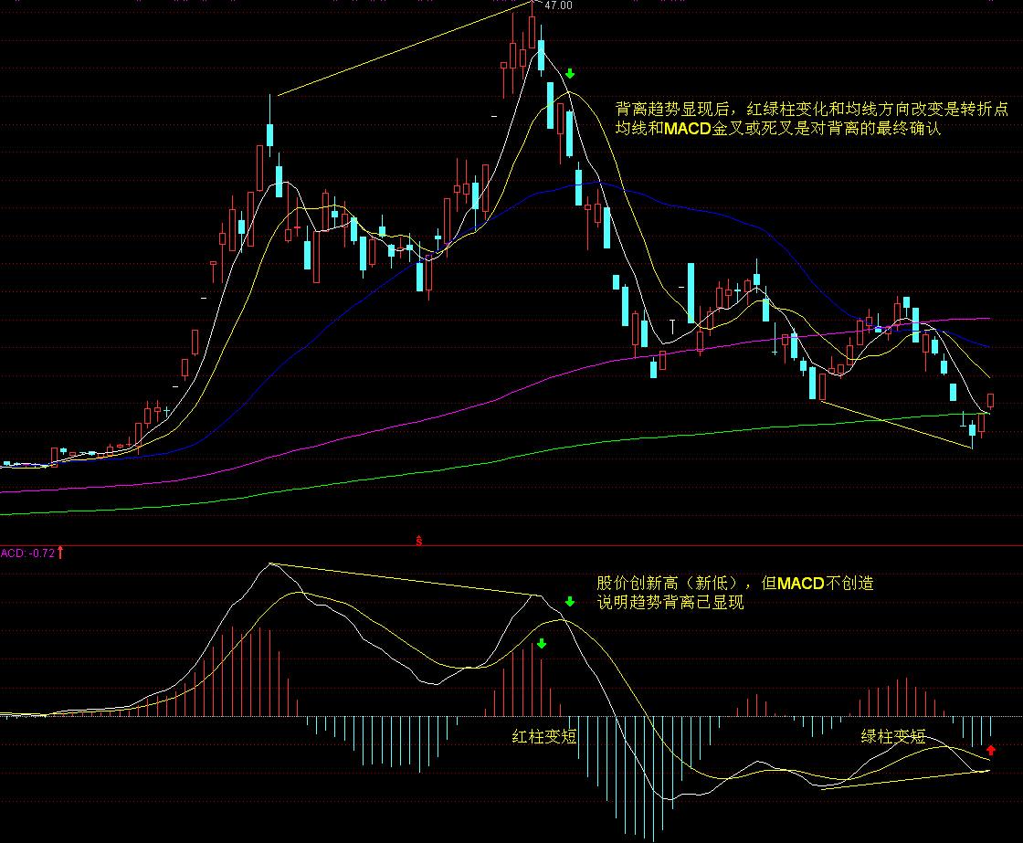  注意防御！热带低压将为江门、阳江、茂名、湛江带来强降雨