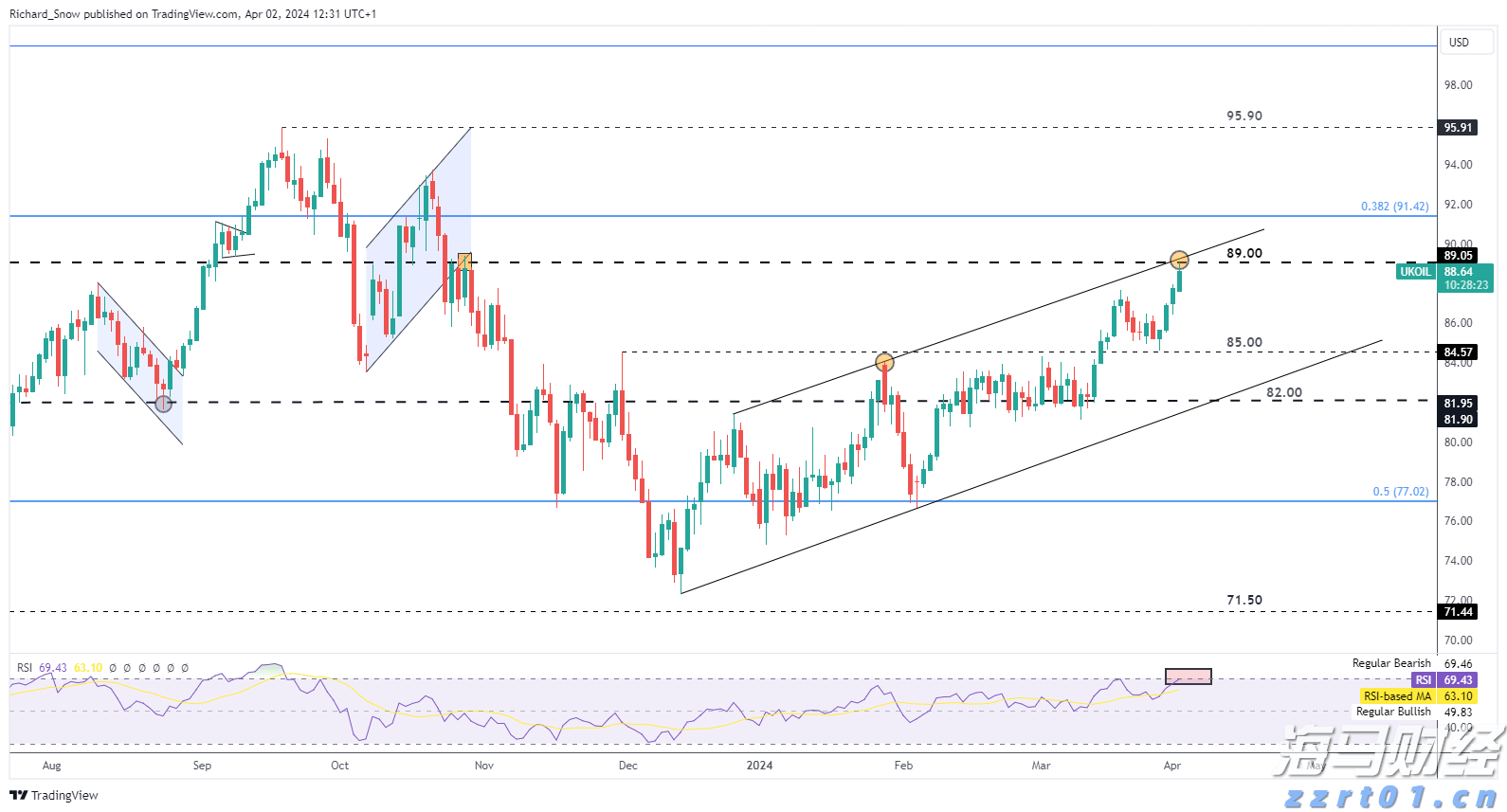 深耕创作沃土 讲好徐闻故事