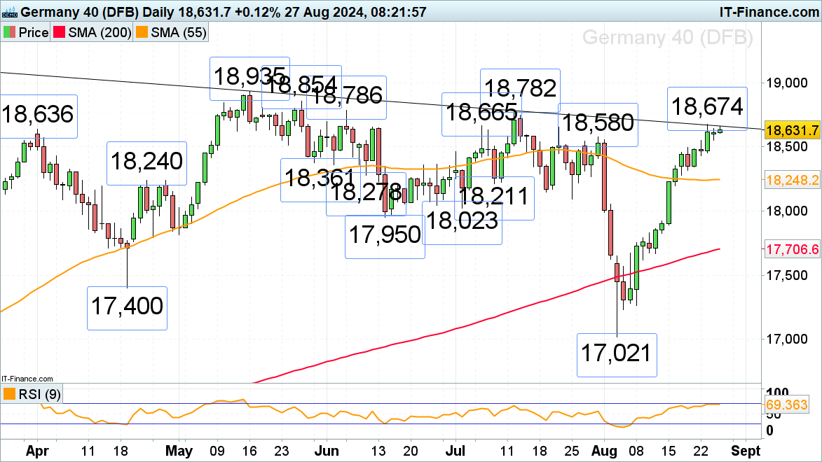 绿美集市开市啦！活动持续至8月31日，珠海日月贝等你来！